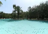Hotel Mediterranee foto 25