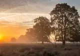 Fietsvakantie rondje Drenthe foto 16