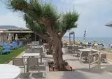 Malliotakis Beach Hotel foto 23