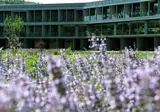 Món Sant Benet Hotel & Conference Centre foto 18