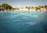 Vigna Sul Mar Family Camping Village foto 10