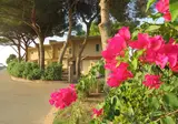 Villa Teti foto 1