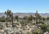 West-Amerika op het gemak foto 15