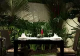 Sun Island Boutique Villas & Spa foto 13