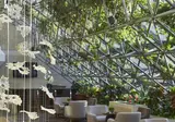 Four Seasons Hotel foto 23