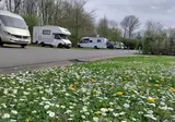 Urban Gardens Ieper foto 5