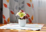 Sibelius foto 22