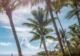 One & Only Le Saint Geran foto 29