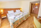 Viking Park Hotel & Spa foto 14
