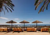 Saccharum Resort foto 43