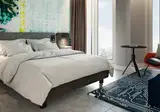 ibis Styles Delft City Centre foto 3