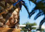 Acrotel Elea Beach foto 30