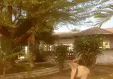Bungalow Beach Hotel foto 23