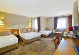 All Seasons Hotel Istanbul foto 19
