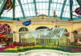Bellagio foto 9