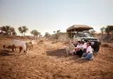 The Ritz-Carlton Ras Al Khaimah, Al Wadi Desert foto 3