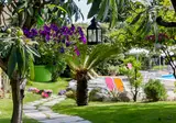Villa Paola foto 28