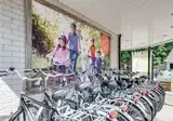 Bungalowpark Het Verscholen Dorp foto 10