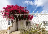 Rhenia Mykonos foto 16