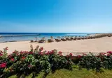 Concorde Moreen Beach Resort & Spa foto 28