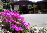 Hotel Federico Ii foto 24