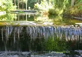 Bospark Markelo foto 17