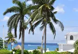 Villa Blanca Garden Beach foto 18