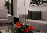 Hotel Palacio Albacete & SPA foto 8