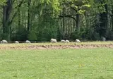 Het Heerengoedt foto 28