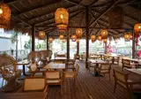 Regina Palm Resort foto 7