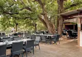 Camping Collection Rivages Le Domaine De Verdagne foto 5