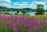All inclusive in de Eifel, Stadtkyll foto 8