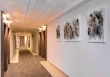 Hotel Baviera foto 27