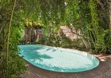 Le Windsor, Jungle Art Hotel foto 21