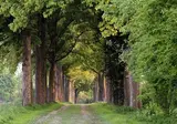 Bilderberg Hotel 't Speulderbos foto 18