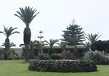 Hotel Dessole Malia Beach foto 5