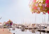 Summio Marina Port Zélande foto 4