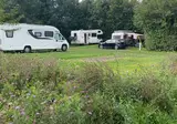 Urban Gardens Ieper foto 2