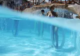 Monarque Dar Jerba Narjes foto 18