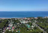Taimí foto 17