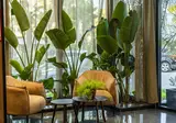 Henry Resort & Spa foto 13