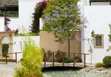 Lindian Village Curio Collection by Hilton foto 19
