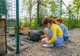 Hoge Kempen foto 22