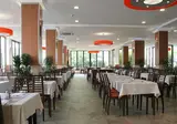 Aleksandar foto 16