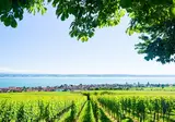 9 10 daagse fietsreis Genieten aan de Bodensee foto 3