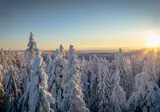 8 daagse excursiereis Explore Week Vuokatti foto 2