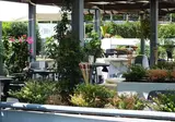 Taormina Palace Hotel foto 7