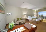 The Tower Plaza Hotel Dubai foto 5