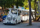 Camping Village Mare Pineta foto 6