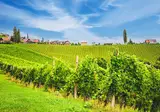 Slovenië compleet foto 5